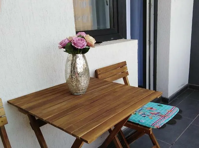 Aris Mamaia Nord Daire Navodari